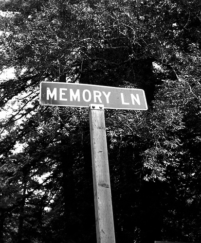 Image courtesy-http://merettapater.wordpress.com/tag/memory-lane/