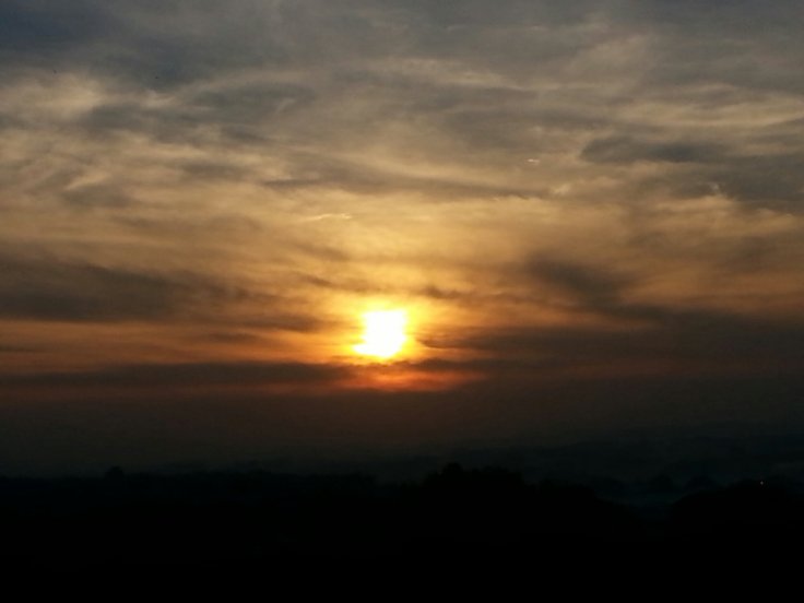 20131208_065552.jpg image