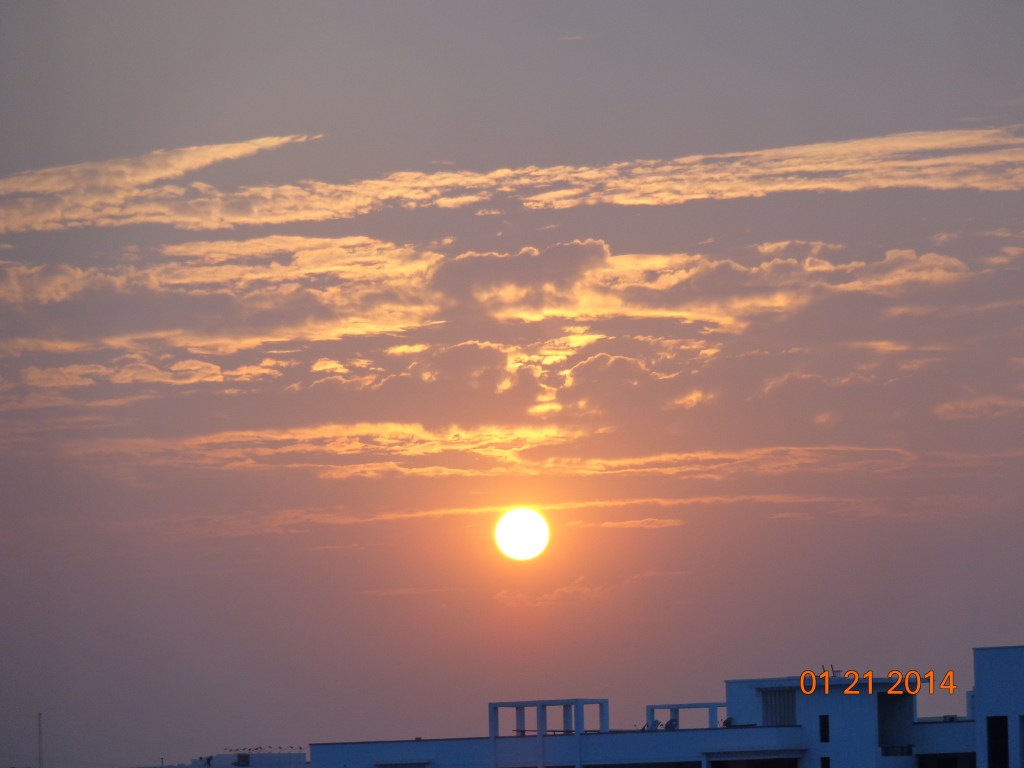 DSC00561