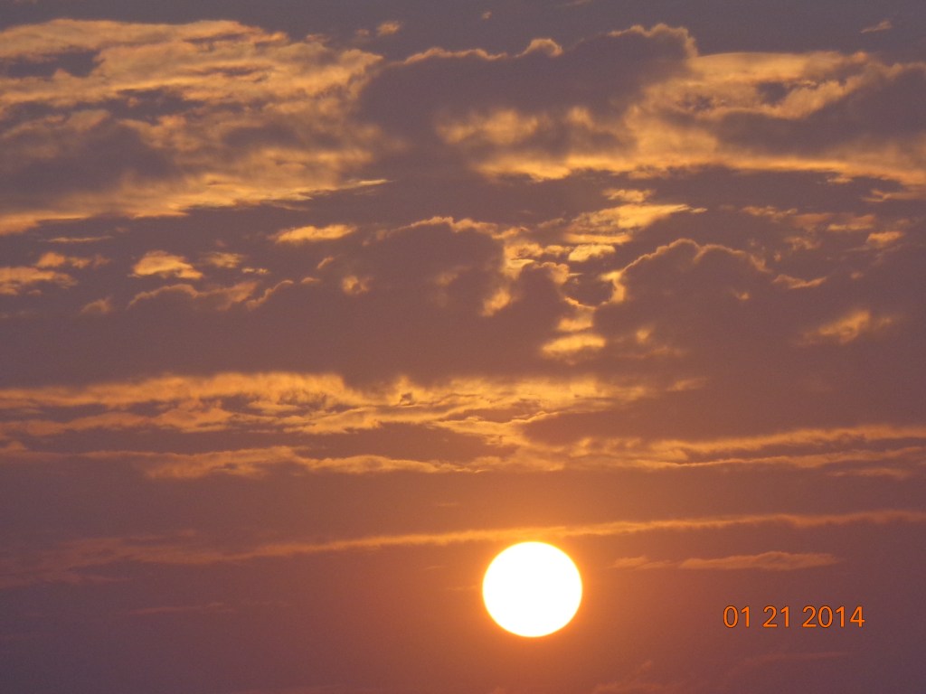DSC00562