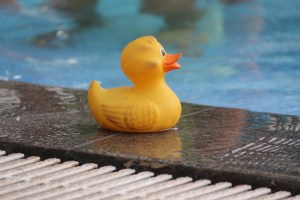 Rubber Ducky @ the Pool