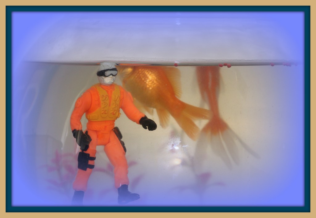 With their temporary roommate- the diver man.