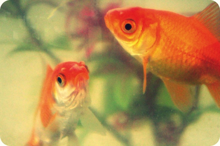 A little tete-a-tete.