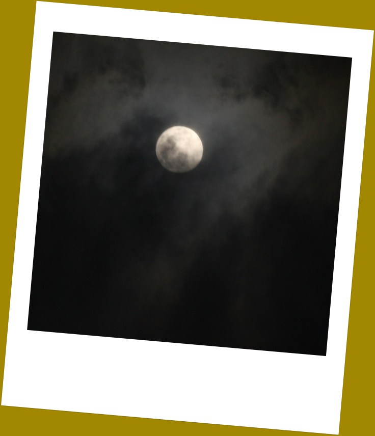 Moonstruck- Polaroid edit.
