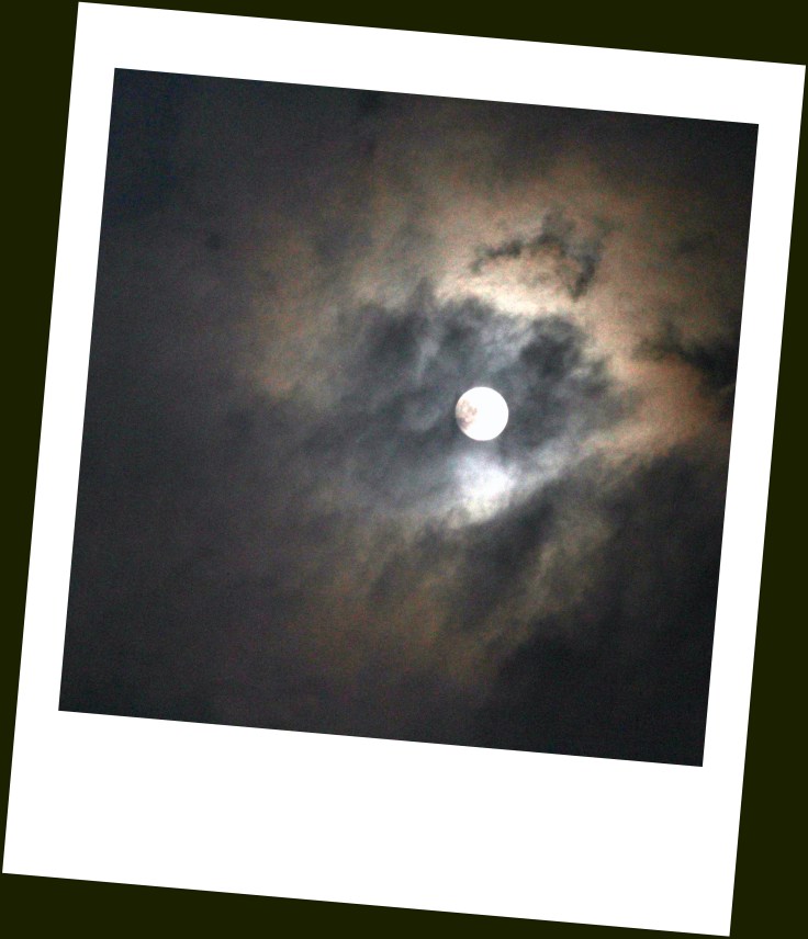 Moonstruck- Polaroid+Contrast Edit.