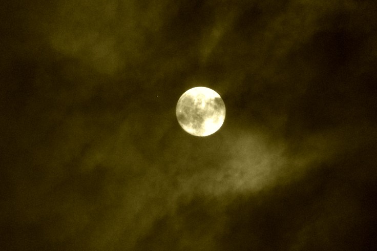 Moonstruck- Vignette Edit.