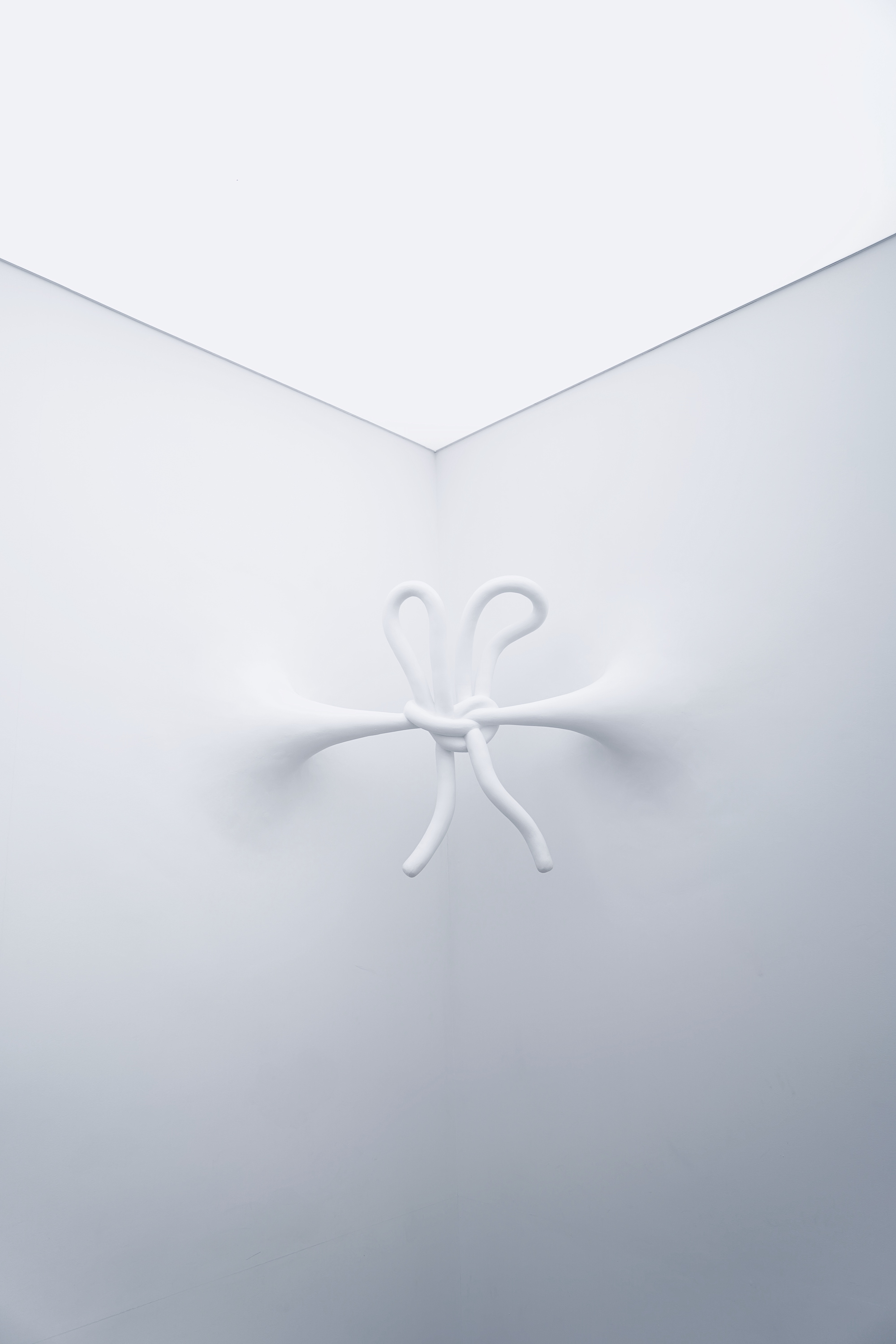 bruno-figueiredo-8rfuWXTQWI8-unsplash
