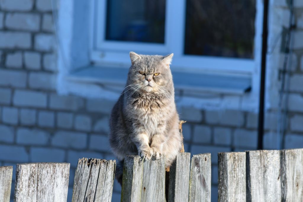 dmitry-ulitin-r3_yzk0TZls-unsplash