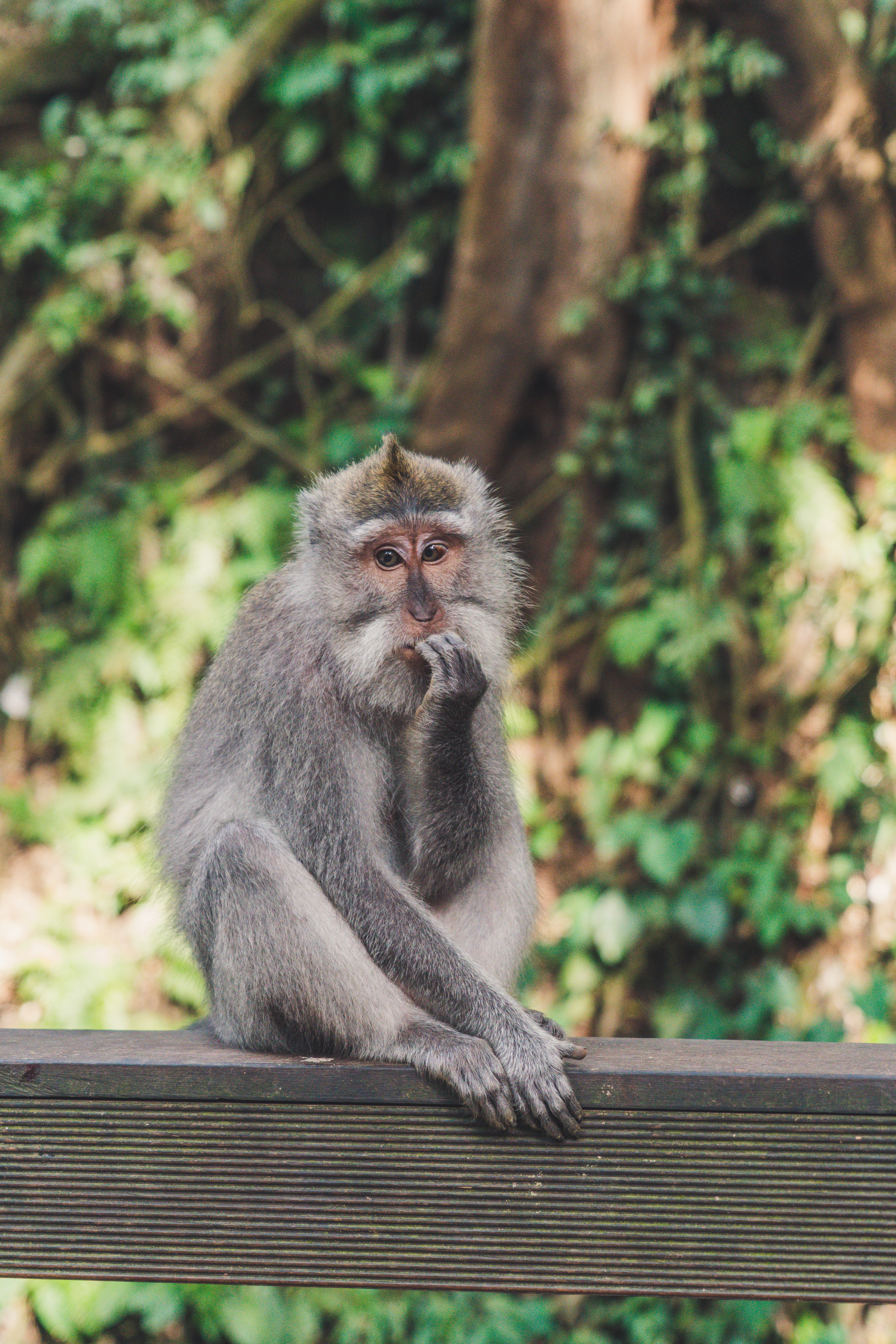 paolo-nicolello-hKVg7ldM5VU-unsplash
