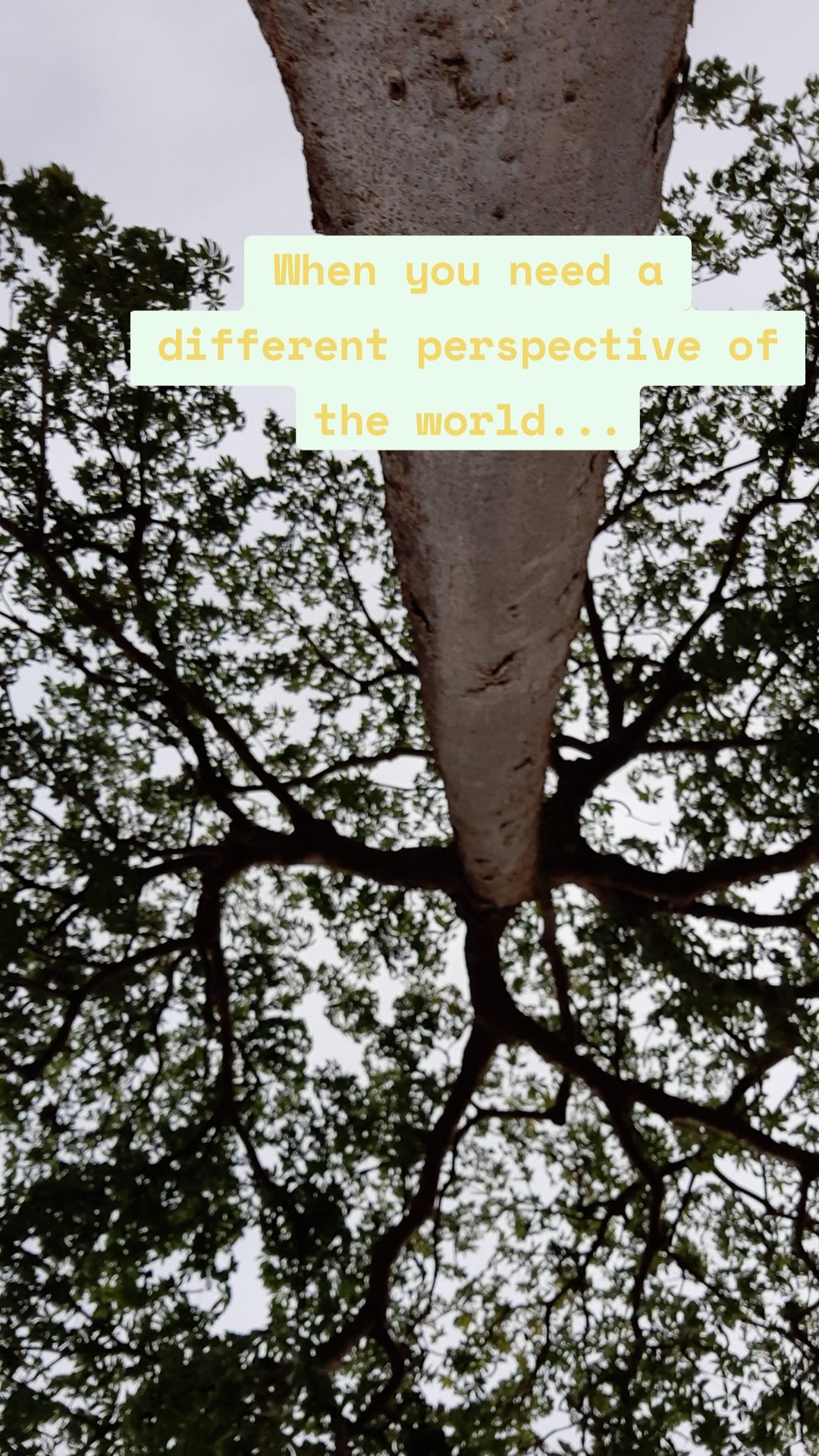 When you need a different perspective of the world...