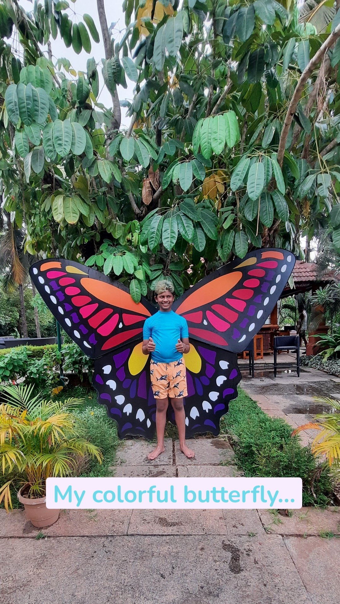 My colorful butterfly...